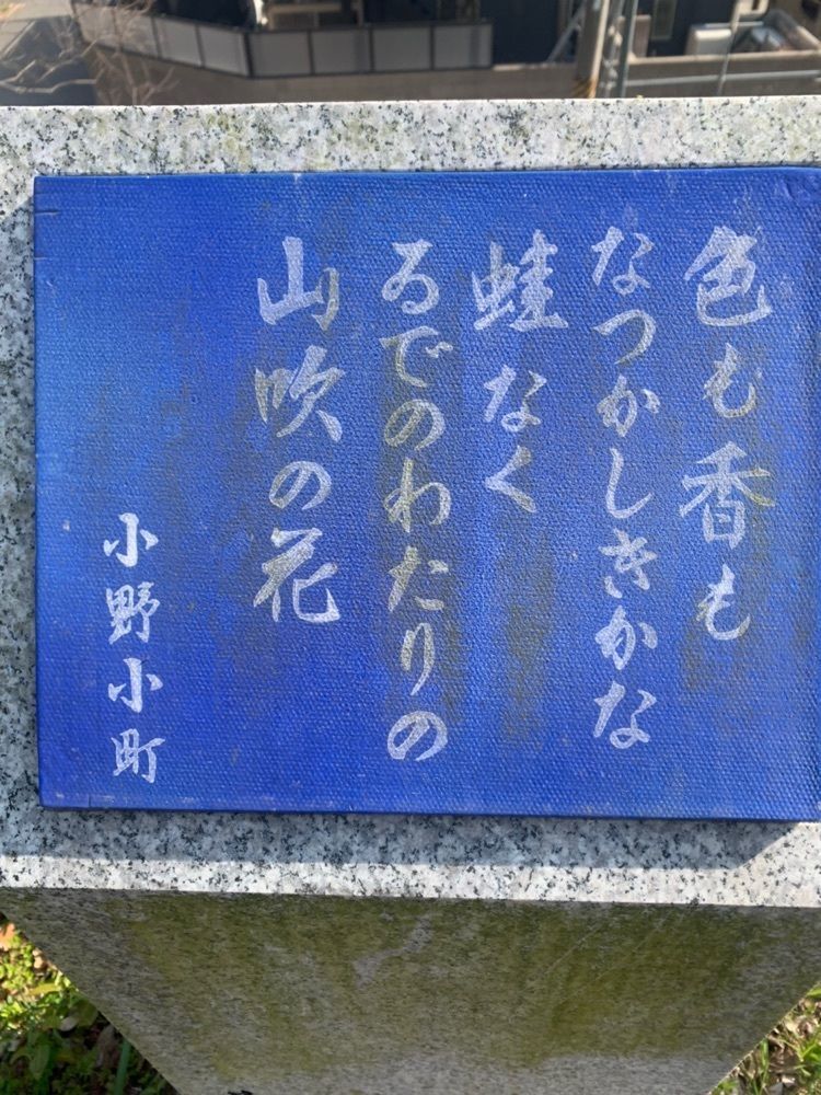 blossom&C7さんが投稿した小町塚に関する口コミの画像