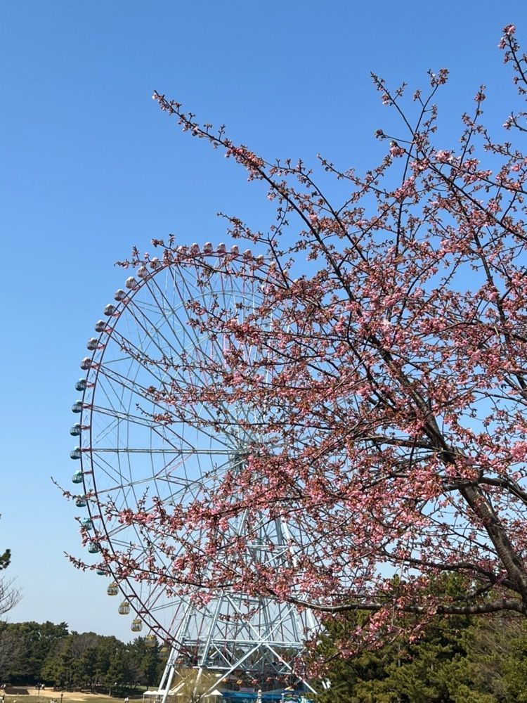🤎アイヒンまま🤎さんが投稿したエルトリート 西葛西店に関する口コミの画像