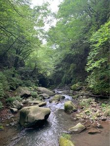 裏見ノ滝 3枚目