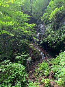 裏見ノ滝 6枚目