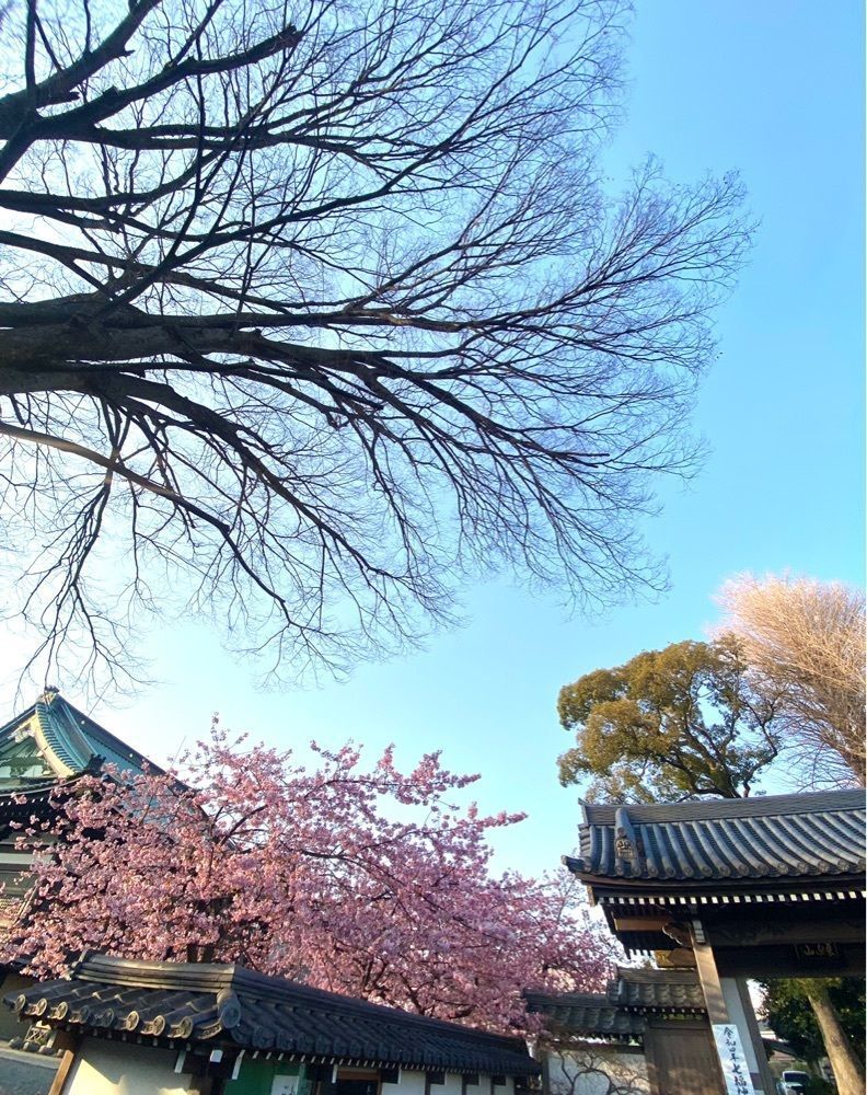 miinoさんが投稿した宗仲寺に関する口コミの画像