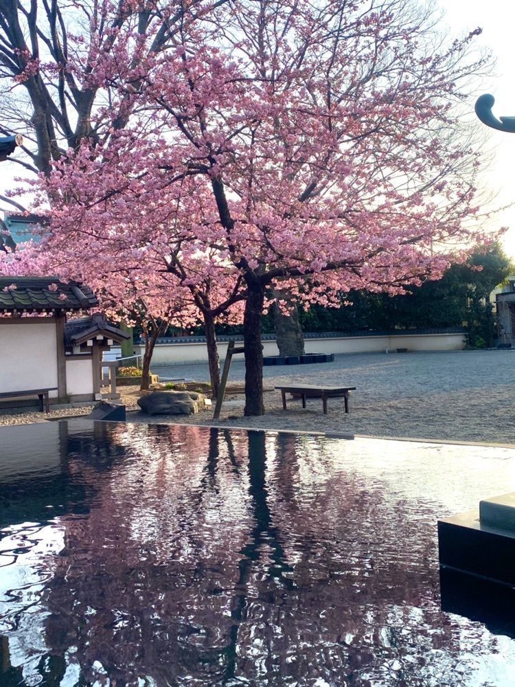 miinoさんが投稿した宗仲寺に関する口コミの画像