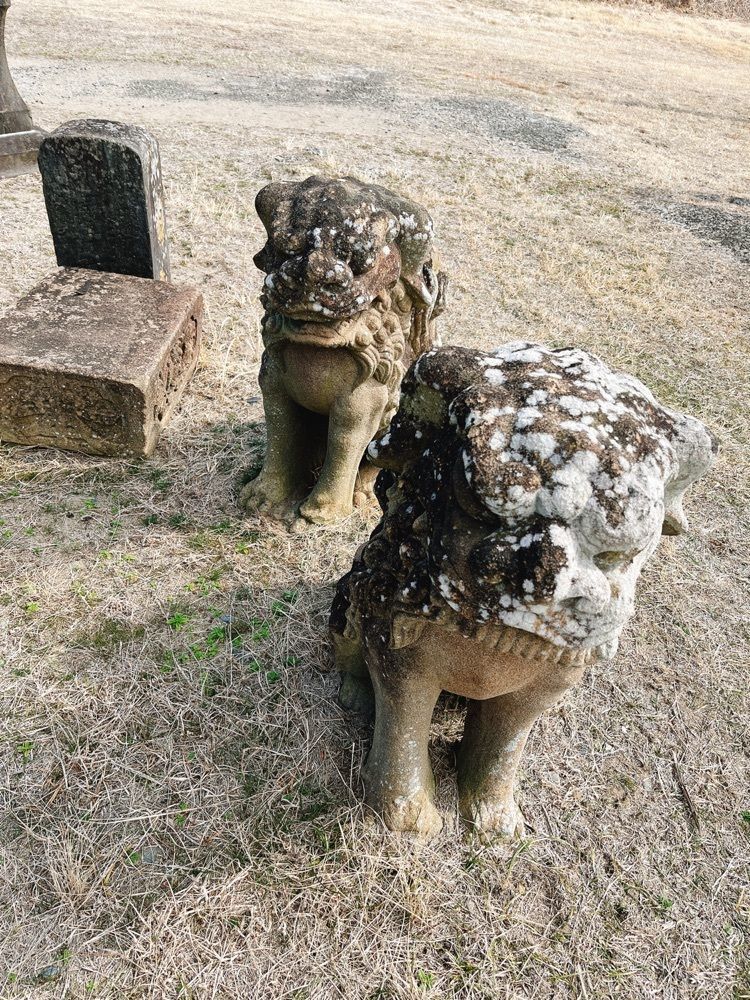 猫なぎ。さんが投稿した野蒜築港中央公園跡に関する口コミの画像