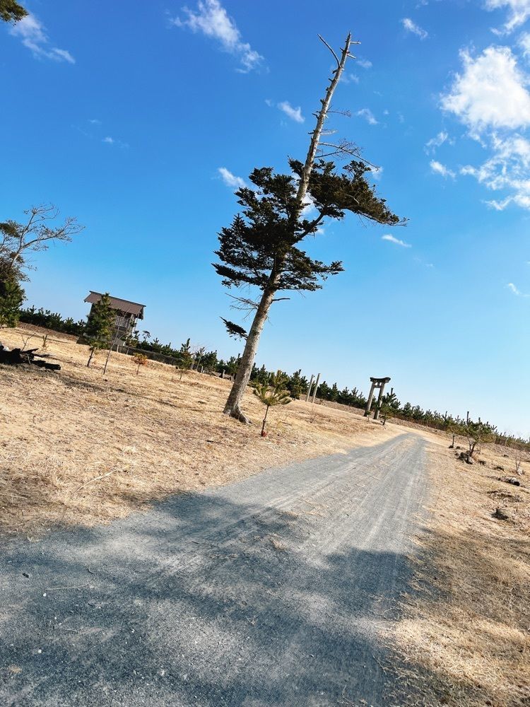 猫なぎ。さんが投稿した野蒜築港中央公園跡に関する口コミの画像