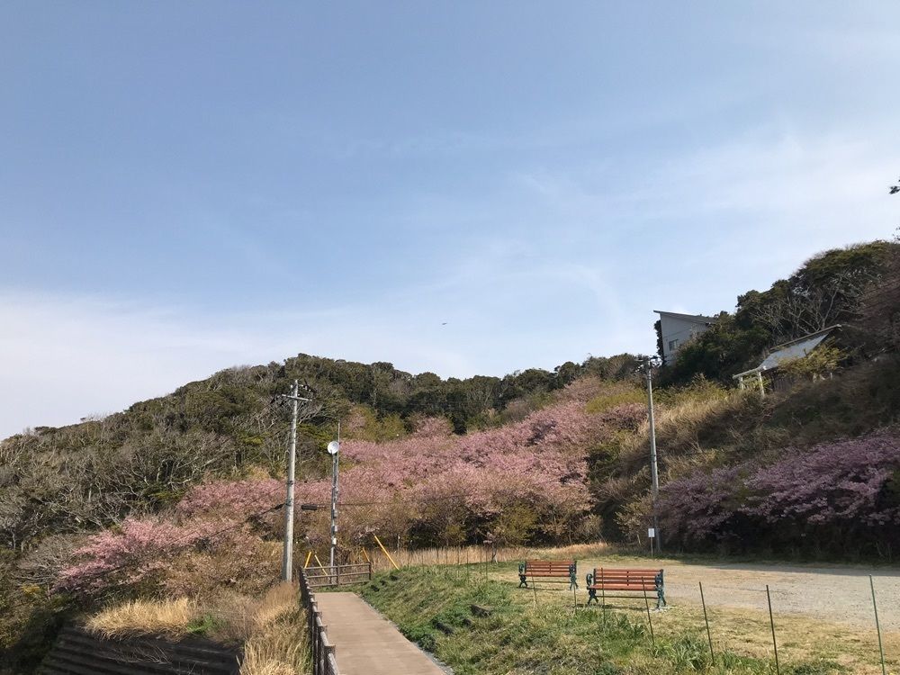 nostalgic_tourism_1541さんが投稿した勝浦マリンハーバーに関する口コミの画像