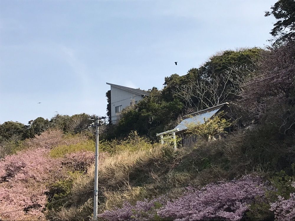 nostalgic_tourism_1541さんが投稿した勝浦マリンハーバーに関する口コミの画像