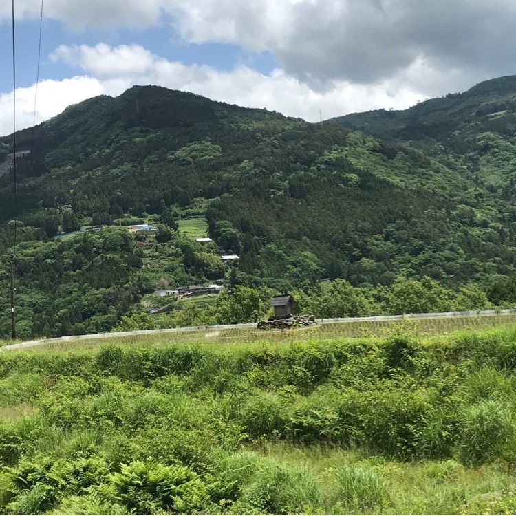 norisanさんが投稿した画像の画像