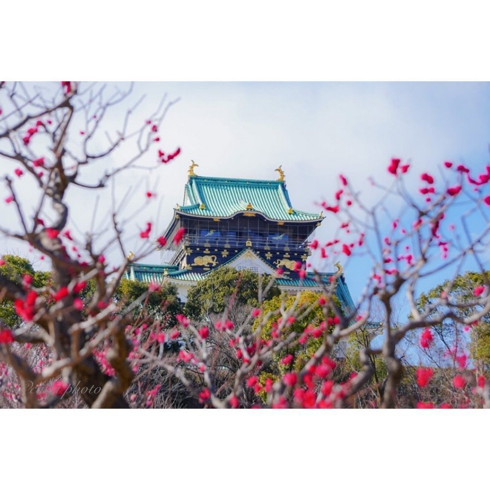 urban_garden_243aの画像