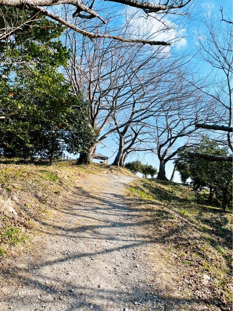 猫なぎ。さんが投稿した宮戸島に関する口コミの画像