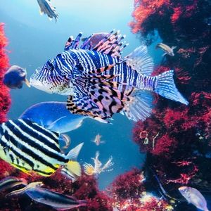 鳥羽水族館 2枚目