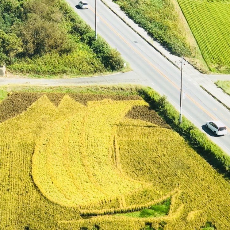 miiさんが投稿した霞ケ浦ふれあいランドに関する口コミの画像