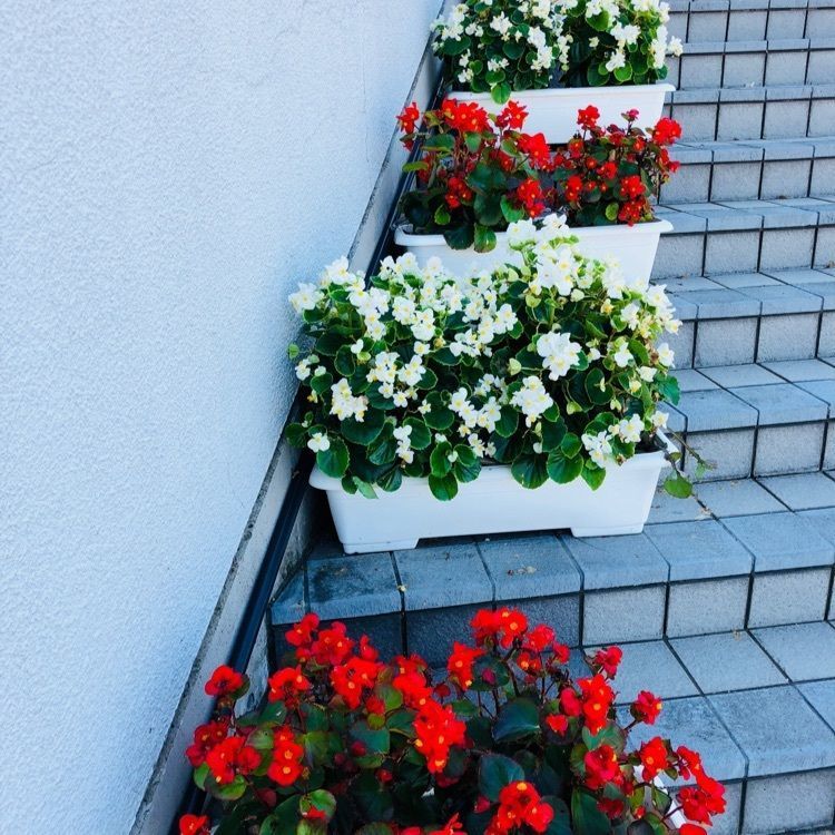 miiさんが投稿した霞ケ浦ふれあいランドに関する口コミの画像