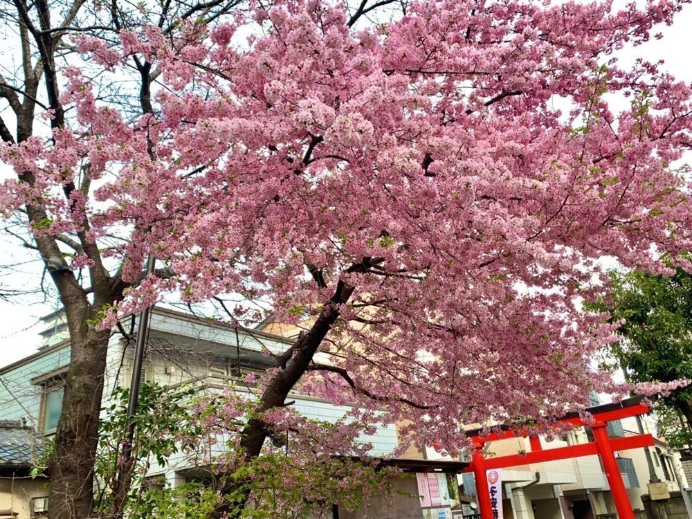 リトアニアの貴公子さんが投稿した子安稲荷神社に関する口コミの画像