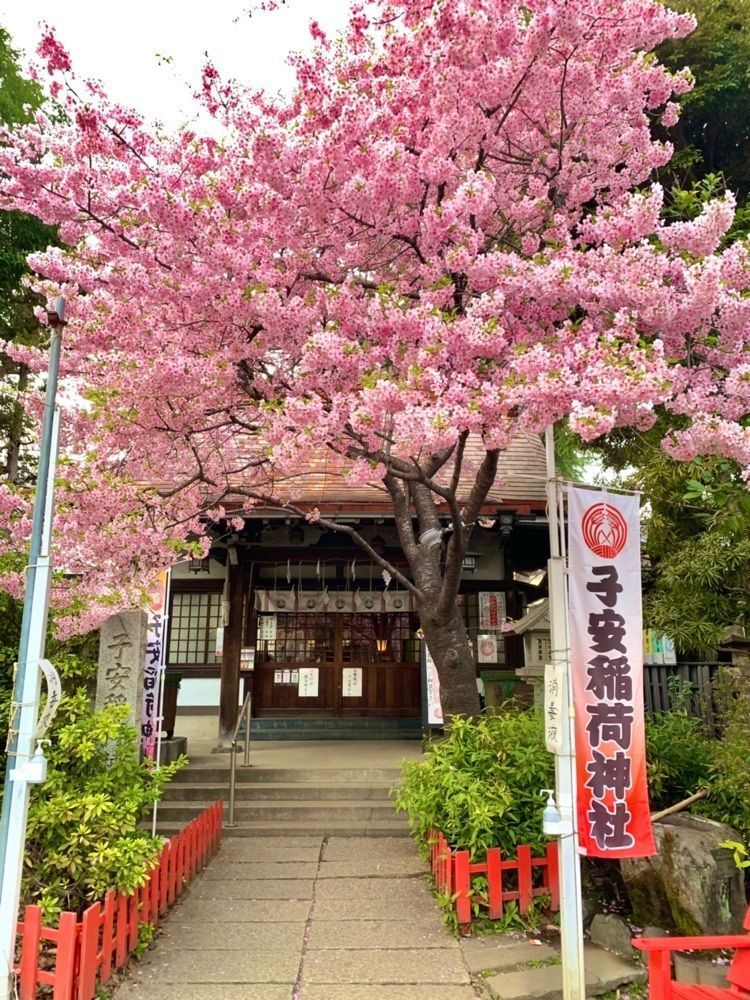 リトアニアの貴公子さんが投稿した子安稲荷神社に関する口コミの画像