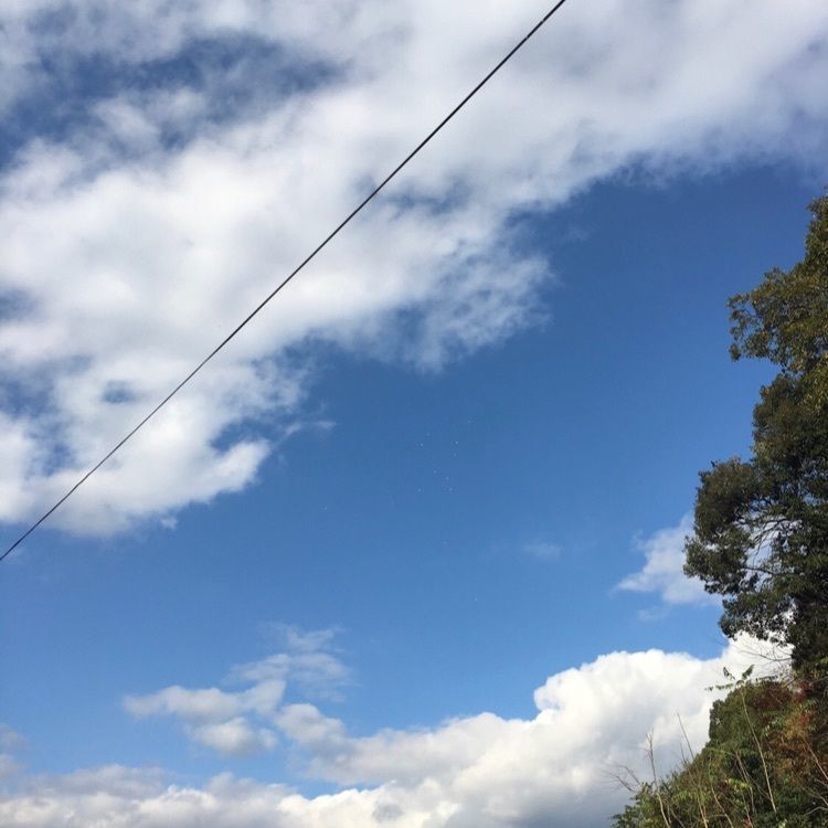 chiakiiiさんが投稿した蹴上インクラインに関する口コミの画像