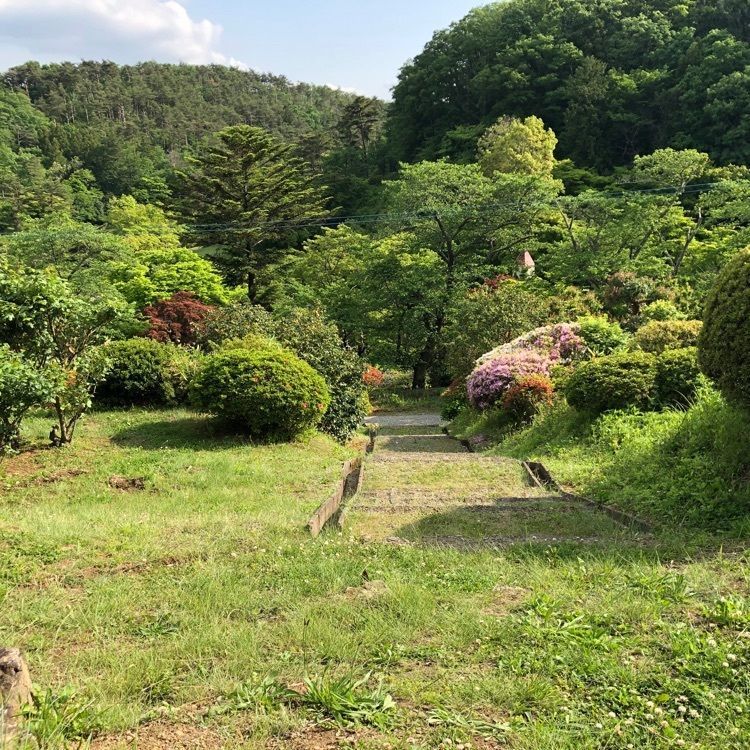 choco mintさんが投稿した花と歴史の郷蛇の鼻に関する口コミの画像