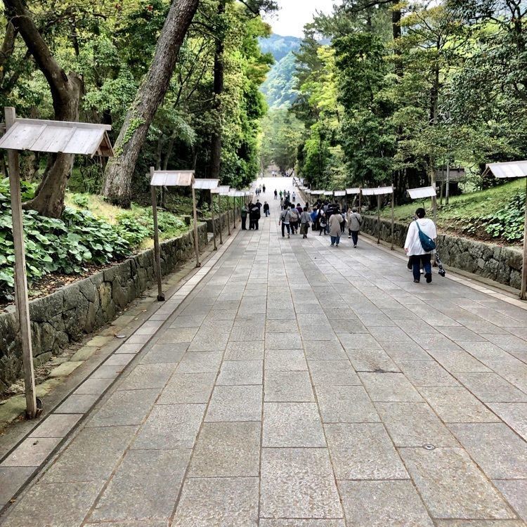 Rhapsodyさんが投稿したたまゆら 出雲大社店に関する口コミの画像