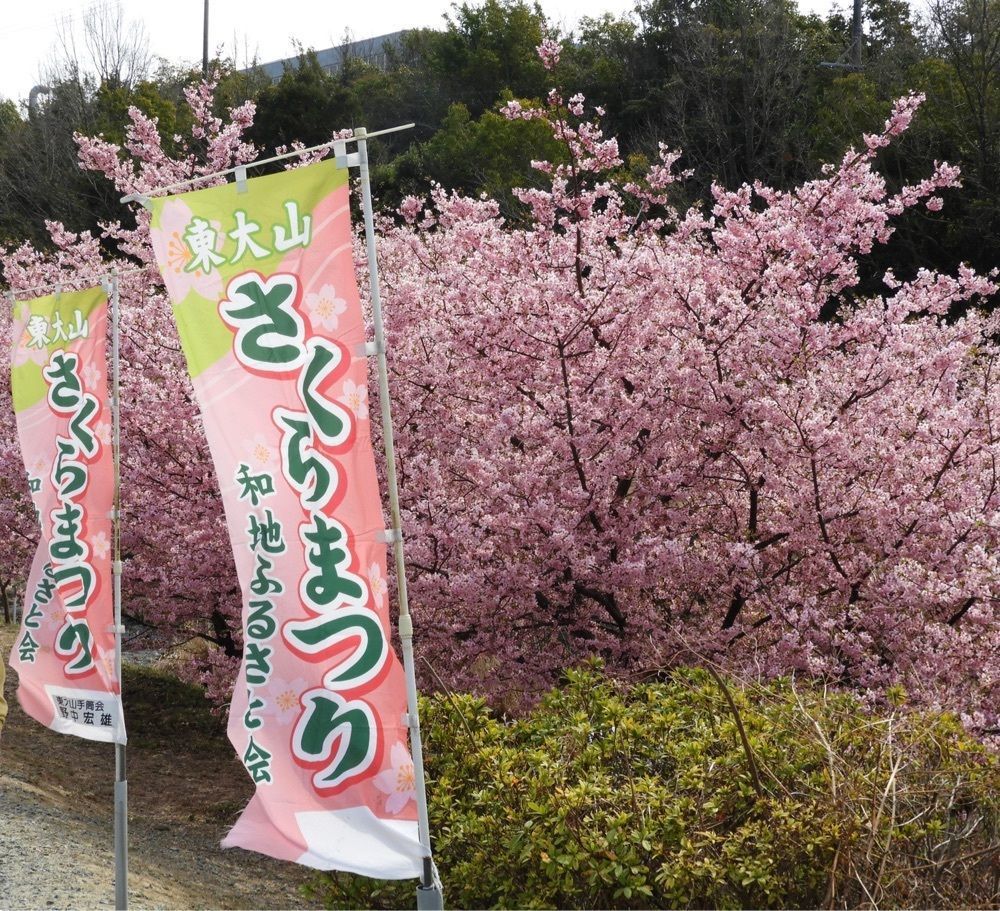 Mitsuさんが投稿した荒野のラーメンに関する口コミの画像