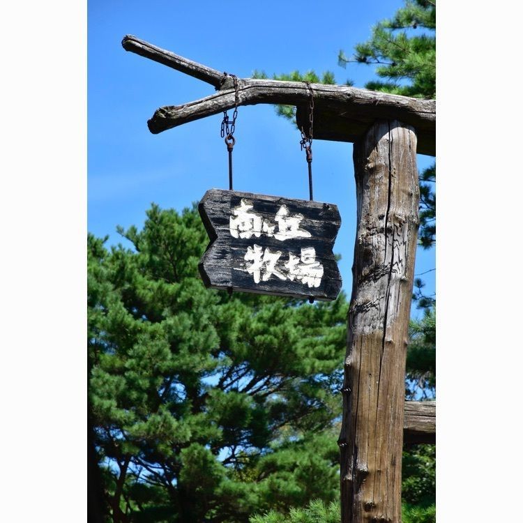 wataoooさんが投稿した南ヶ丘牧場に関する口コミの画像