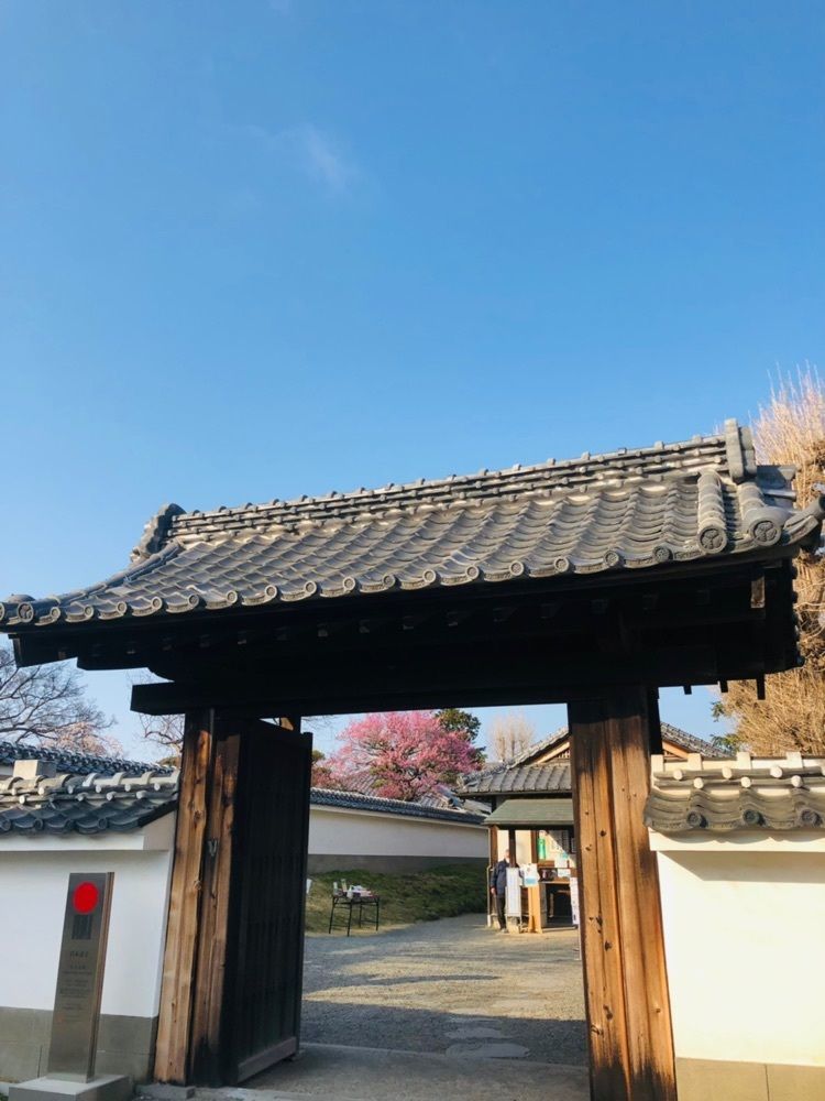 miiさんが投稿した弘道館公園の梅に関する口コミの画像