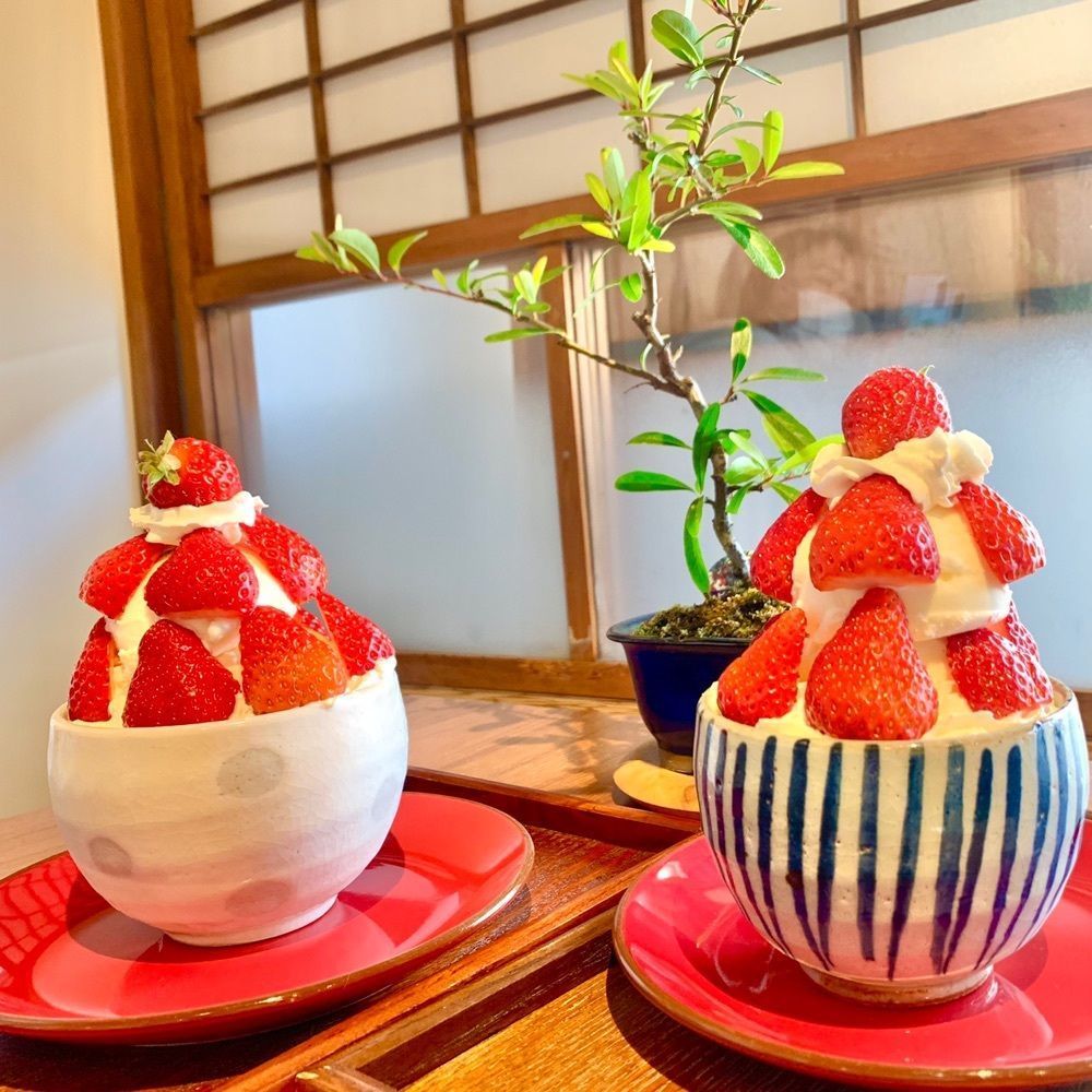 ぶたまんまん(奈良カフェ)さんが投稿した町家盆栽Cafe コトノハに関する口コミの画像
