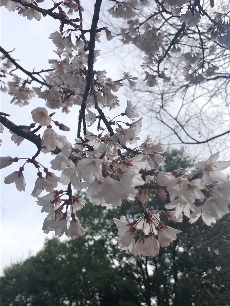 take.aさんが投稿した画像の画像