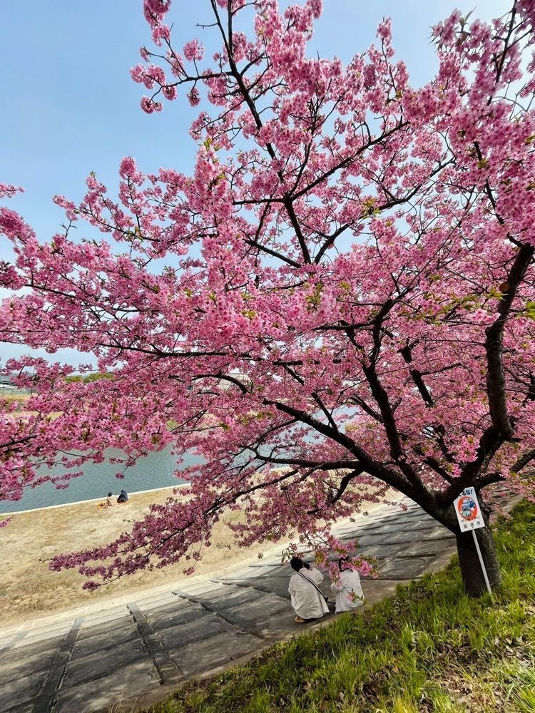 ダルマ大使さんが投稿した徳川園 ショップ葵に関する口コミの画像