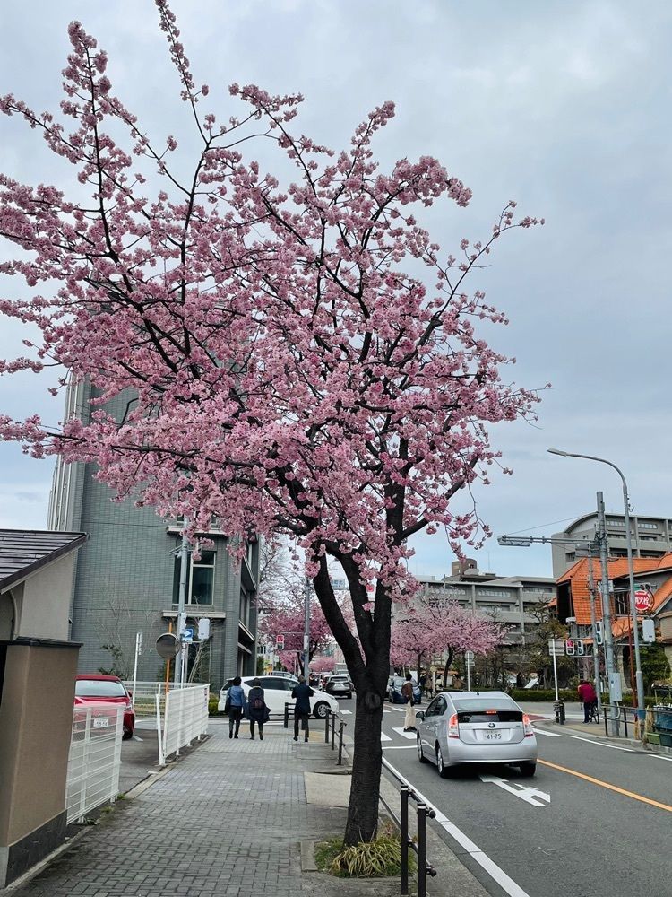 ダルマ大使さんが投稿した徳川園 ショップ葵に関する口コミの画像