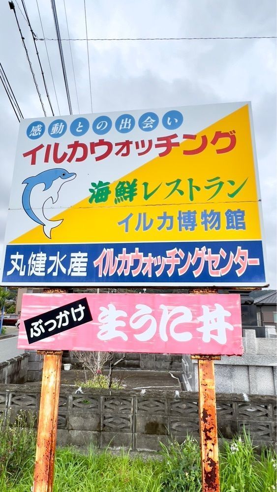 Rhapsodyさんが投稿した天草生うに本舗丸健水産・イルカウォッチングセンターに関する口コミの画像