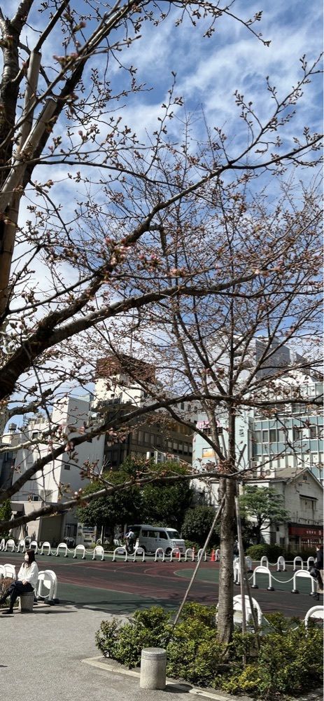 海老桃和久津さんが投稿した串こまち 新橋店に関する口コミの画像