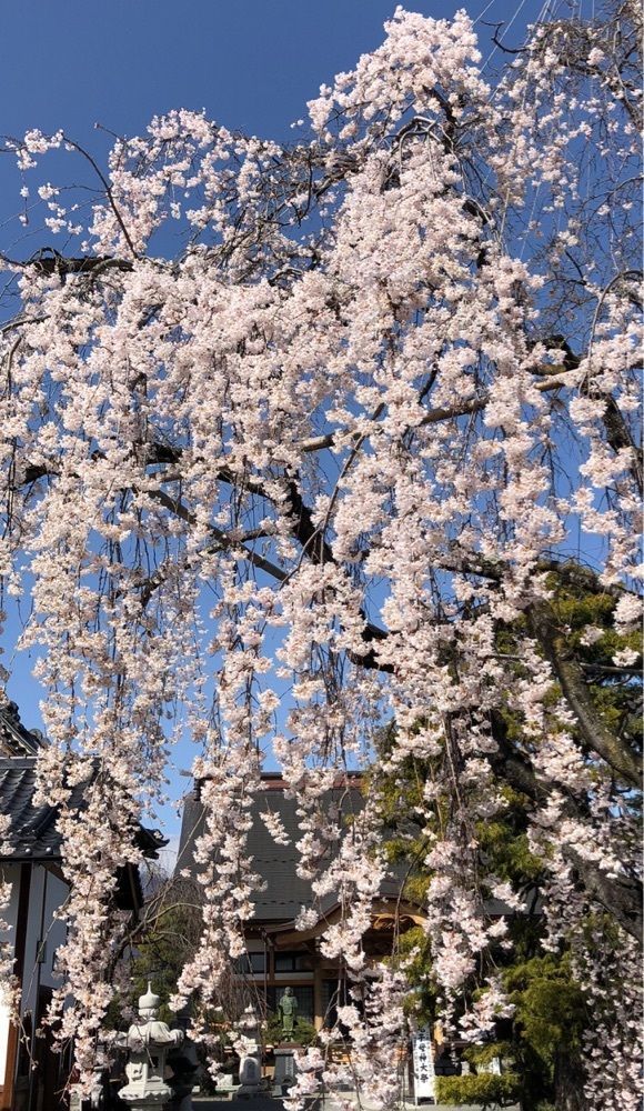take.aさんが投稿したセブンイレブン 中央市布施に関する口コミの画像