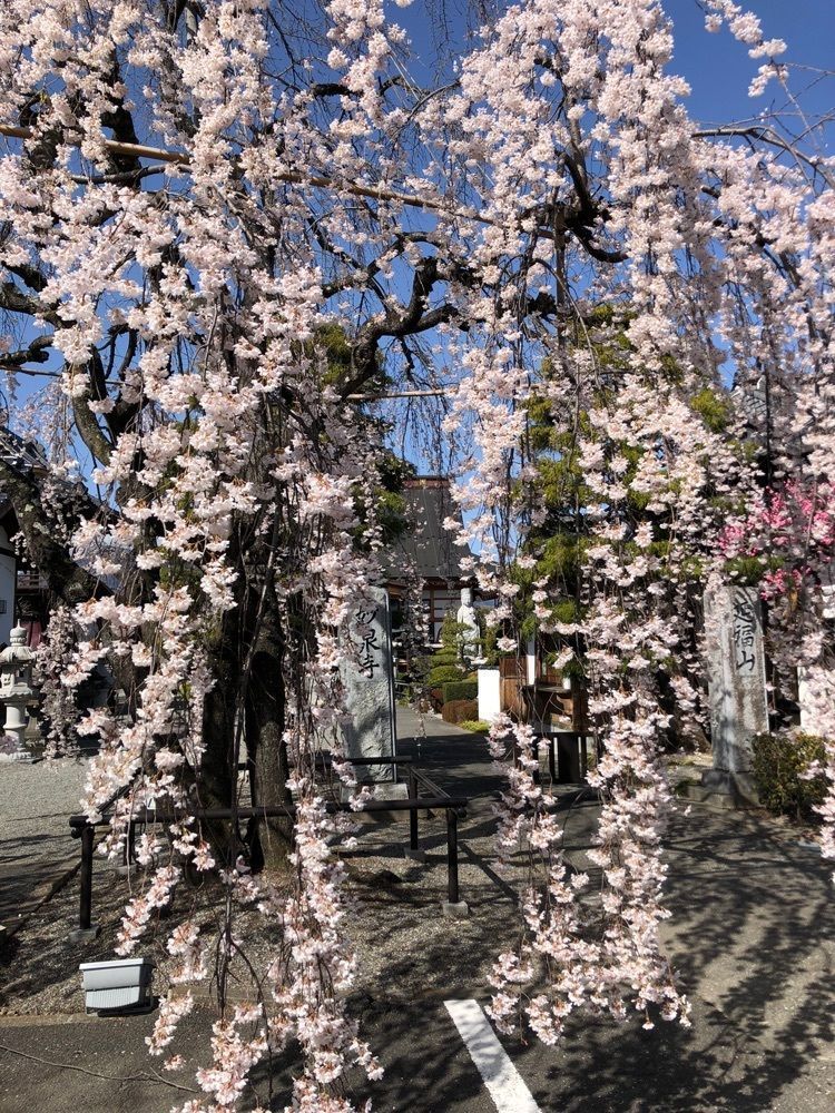 take.aさんが投稿したセブンイレブン 中央市布施に関する口コミの画像