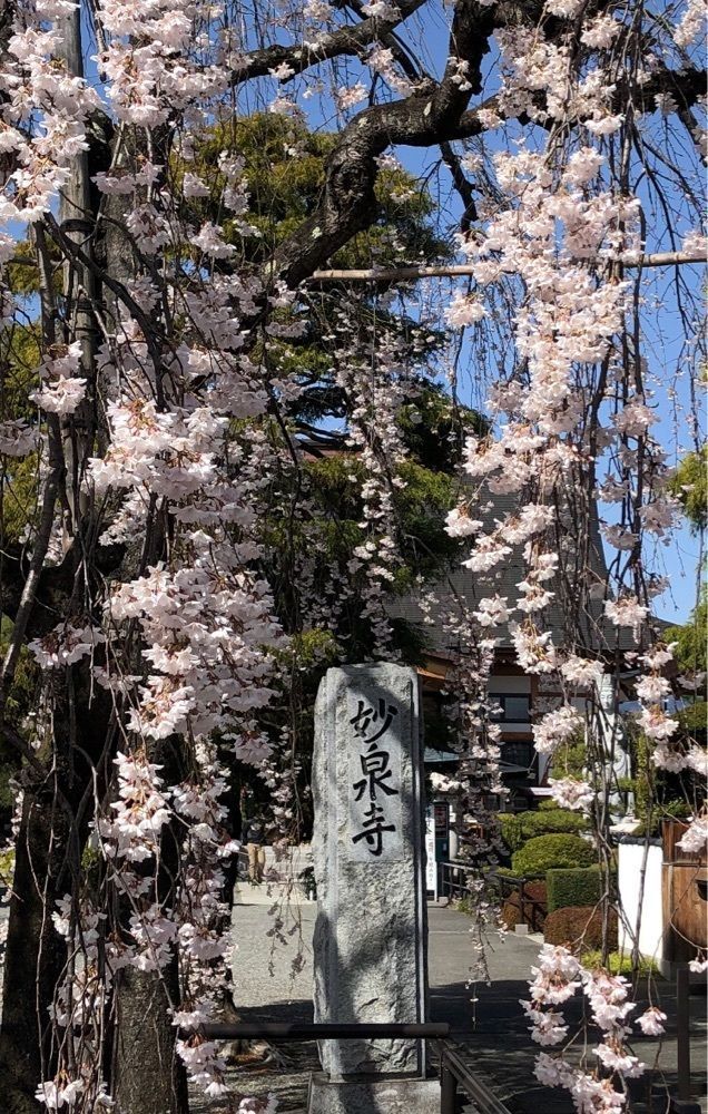 take.aさんが投稿したセブンイレブン 中央市布施に関する口コミの画像