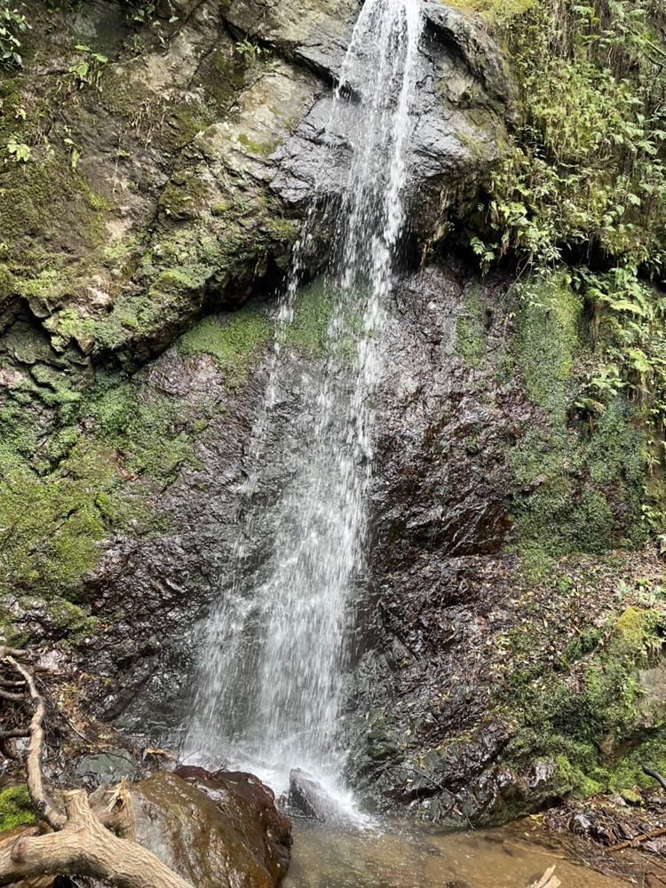 hirokororinさんが投稿した不動の滝（静岡県静岡市）に関する口コミの画像