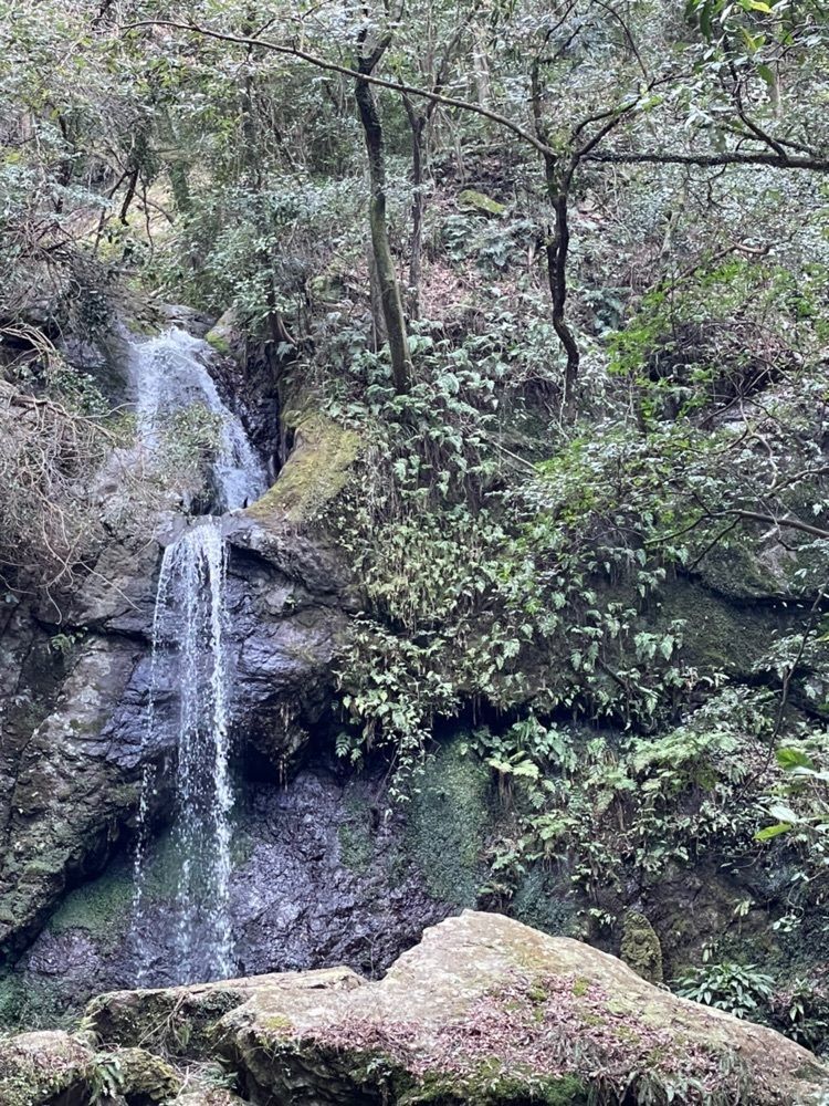 hirokororinさんが投稿した不動の滝（静岡県静岡市）に関する口コミの画像