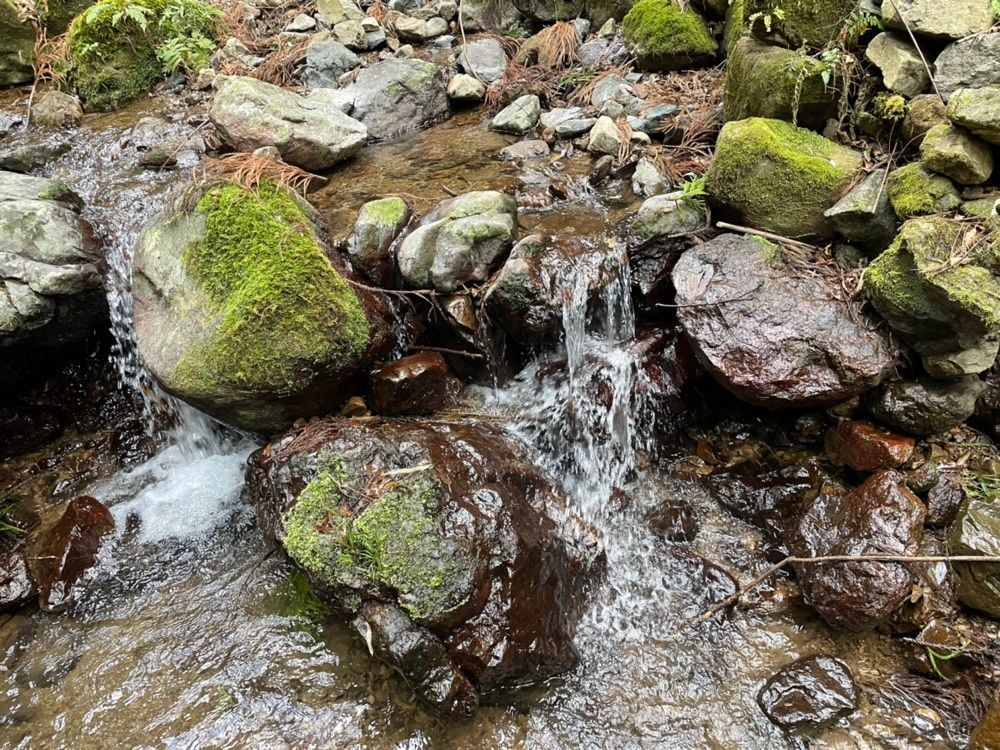hirokororinさんが投稿した不動の滝（静岡県静岡市）に関する口コミの画像