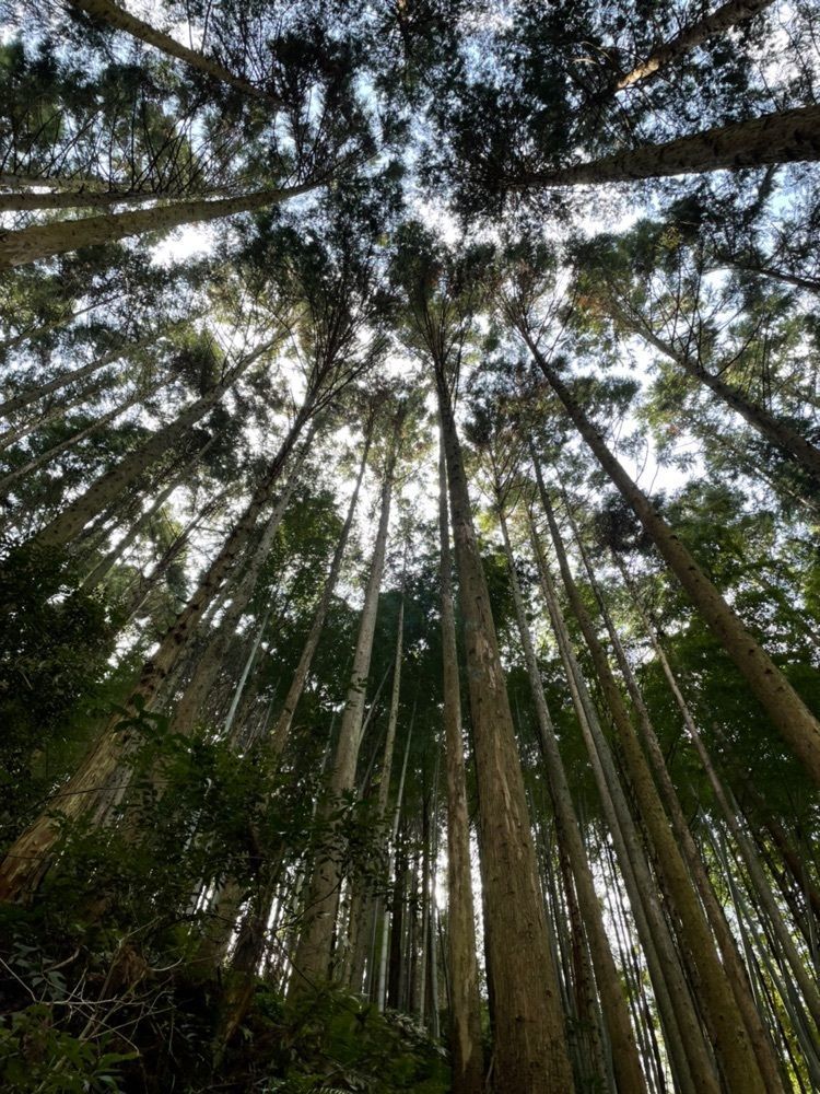 hirokororinさんが投稿した不動の滝（静岡県静岡市）に関する口コミの画像