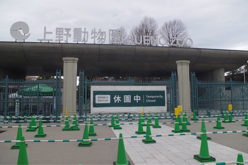 junkunさんが投稿した東京都美術館ミュージアムショップに関する口コミの画像