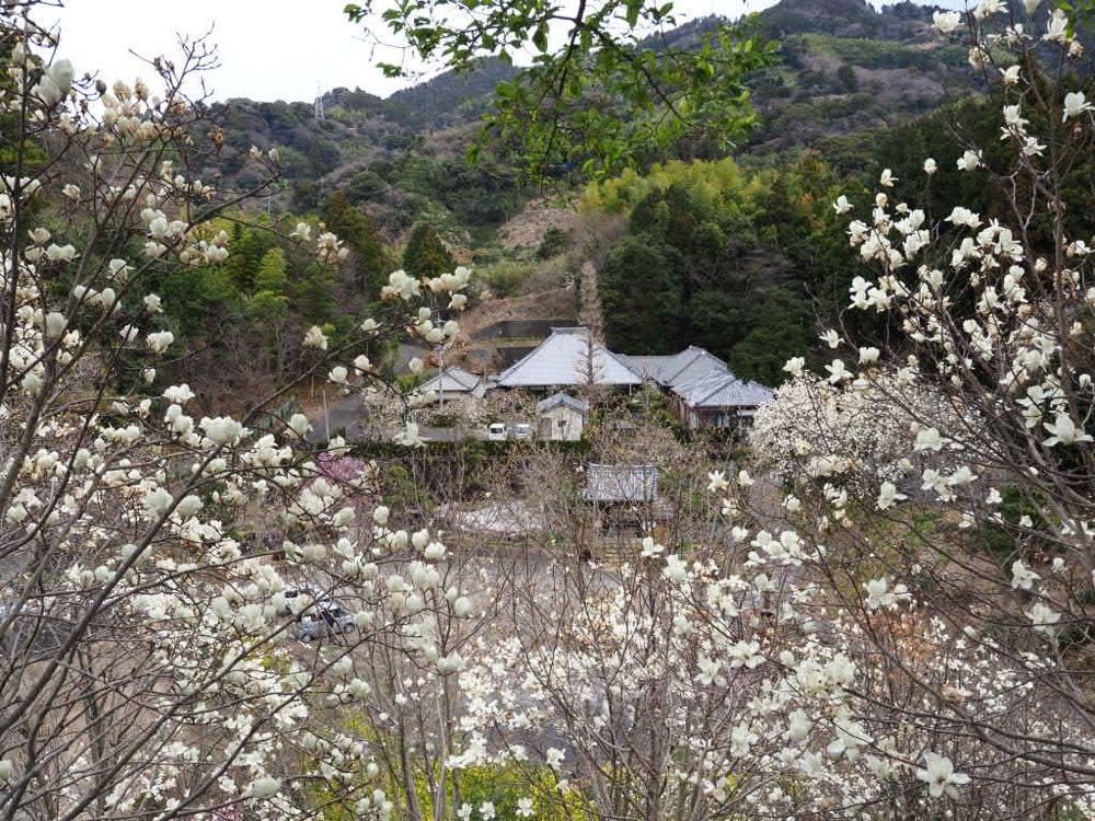Howl Monさんが投稿した子安地蔵菩薩立像に関する口コミの画像