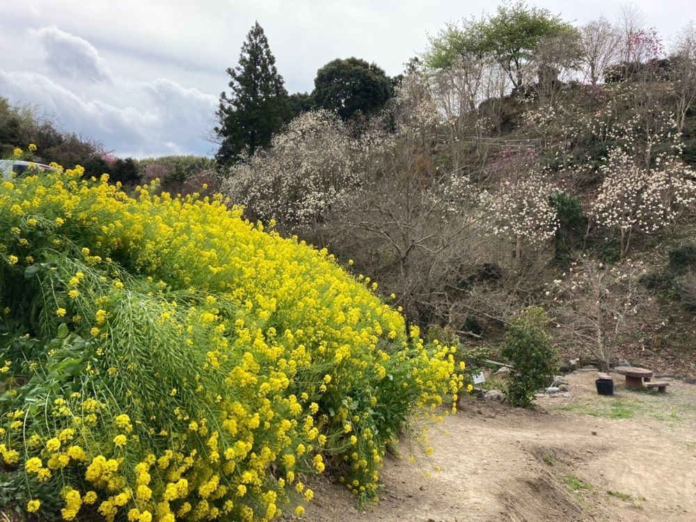 Howl Monさんが投稿した子安地蔵菩薩立像に関する口コミの画像