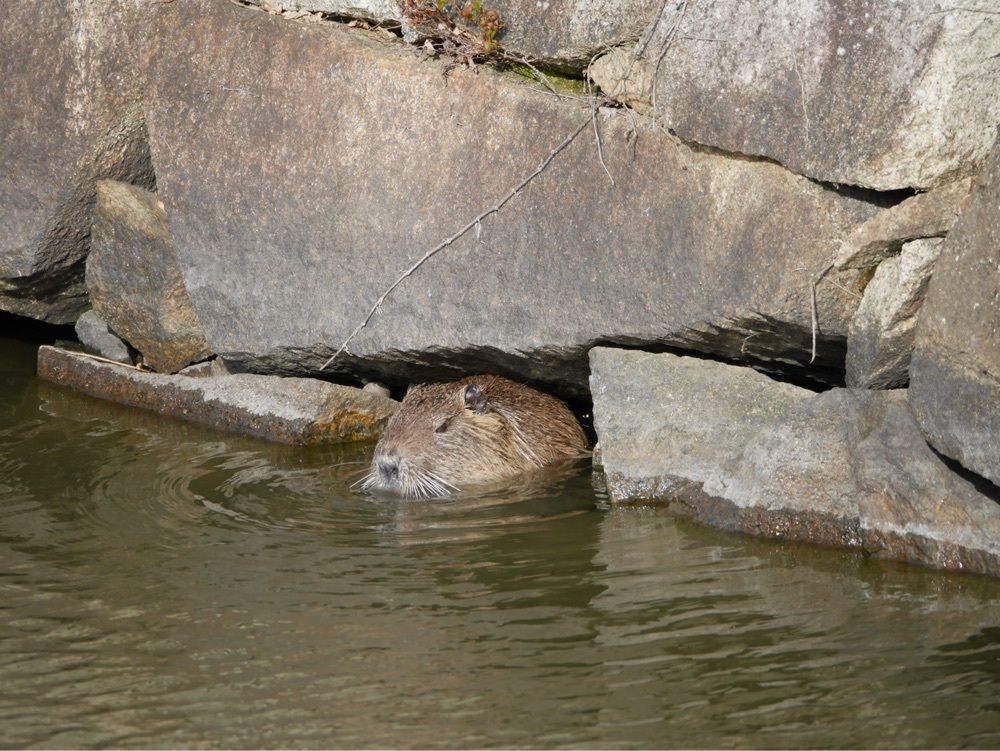 フラミンゴさんが投稿した赤穂城南緑地公園に関する口コミの画像