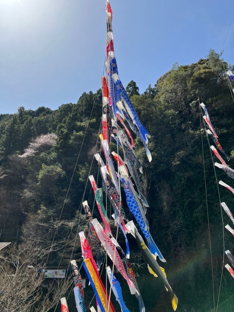 Fumieさんが投稿した中津渓谷ゆの森に関する口コミの画像