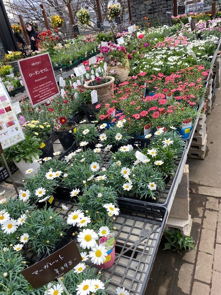 hiyoko0383さんが投稿したサミット 石神井台店に関する口コミの画像