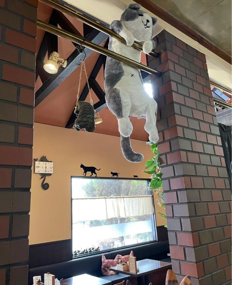 おでかけ探検部さんが投稿した陽だまり 家ｆｅ（HIDAMARI CAFE）に関する口コミの画像