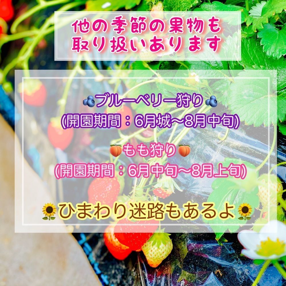 こけし@着物旅さんが投稿したアグリタウンに関する口コミの画像