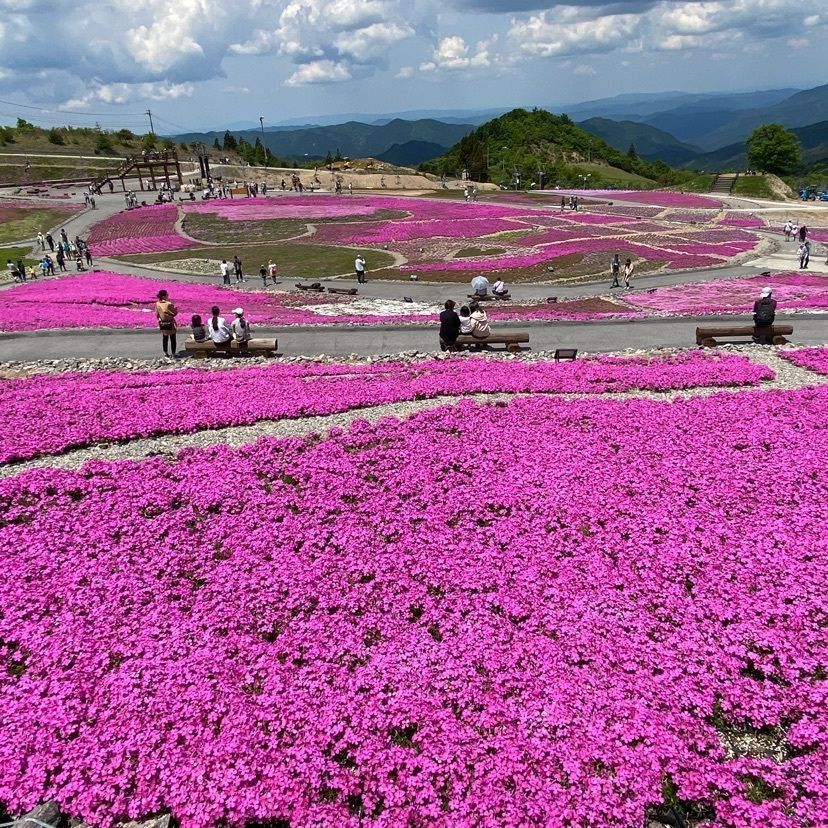 レモンさんが投稿した休暇村茶臼山高原に関する口コミの画像