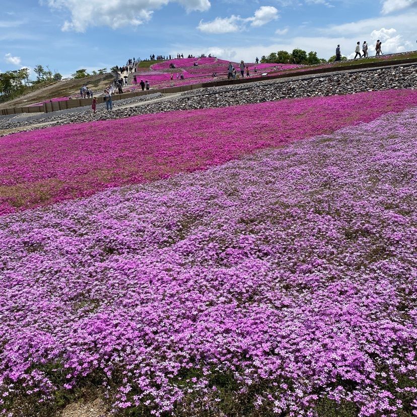 レモンさんが投稿した休暇村茶臼山高原に関する口コミの画像