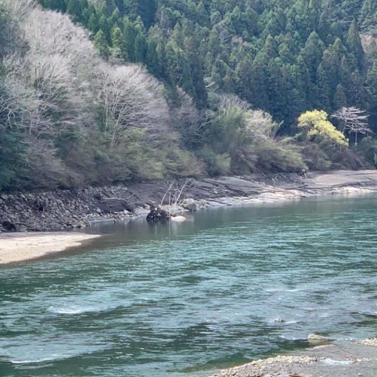 ＤＪゴン太さんが投稿した味菜（アジサイ）に関する口コミの画像