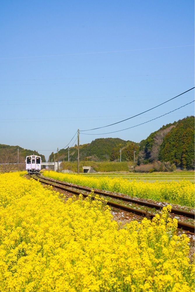 mt0130さんが投稿したみやこ町に関する口コミの画像