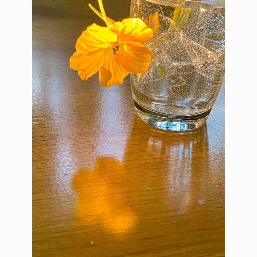 ビンカさんが投稿したやぶそばに関する口コミの画像